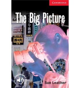 The Big Picture Level 1
