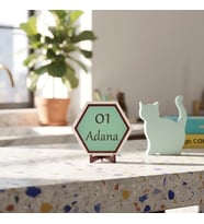 01 Adana Yazılı Minimalist Dekoratif Parça, Adana Severlere Anlamlı ve Şık Bir Hediye Seçeneği 10x10 cm, Açık Yeşil