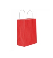 Kağıt Hediye Çantası Düz Renk Battal Boy 31X41 CM (25 Adet)  Kırmızı