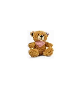 Halley Oyuncak Fularlı Ayı Peluş 22 cm 78760