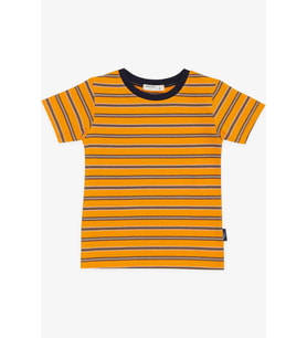 Breeze Erkek Çocuk Tişört Çizgili 3-7 Yaş, Hardal Sarı
