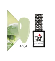 Profesyonel Kalıcı Oje 15 ml 4754