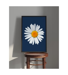 Tablo  Ahşap Çerçeveli Tablo  Çerçeveli Poster  Papatya Temalı Tablo (Karışık)