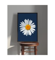Tablo  Ahşap Çerçeveli Tablo  Çerçeveli Poster  Papatya Temalı Tablo (Karışık)