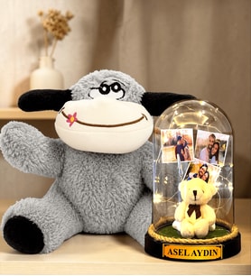 Kişiye Özel 3 Fotoğraflı Yazılı LED Işıklı Fanus ve Peluş Eşek Hediye Seti (peluş ayıcıklı)