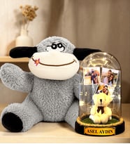 Kişiye Özel 3 Fotoğraflı Yazılı LED Işıklı Fanus ve Peluş Eşek Hediye Seti (peluş ayıcıklı)