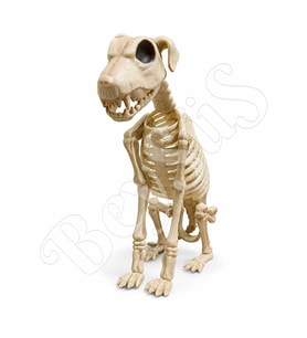 Cadılar Bayramı Korku Temalı Oturan İskelet Köpek Figürü 38cm