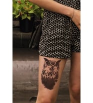 Caş Dekorasyon Baykuş Geçici Dövme Tattoo
