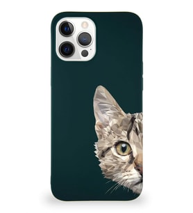 Apple iPhone 12 Pro Max Soft Premier Kapak Catface Tasarımlı Silikon Kılıf - Yeşil (Şeffaf)