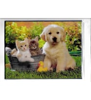 Resimli Mouse Pad 12,2 İnc ( 19*25CM) (Sarı)