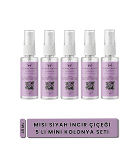 Bursa Şehir Kolonyaları, Misi Siyah İncir Çiçeği Kolonyası, 5'li Mini Set, 45 ml, Sprey