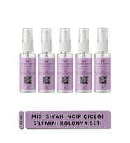 Bursa Şehir Kolonyaları, Misi Siyah İncir Çiçeği Kolonyası, 5'li Mini Set, 45 ml, Sprey