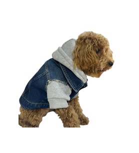 Sweatshirt kot ceket kedi köpek