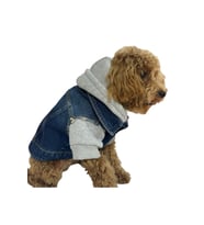Sweatshirt kot ceket kedi köpek