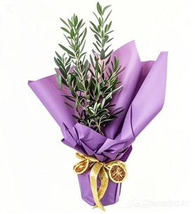 BUKET KAGIDINDA ZEYTİN AGACI TASARIM