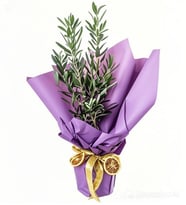 BUKET KAGIDINDA ZEYTİN AGACI TASARIM
