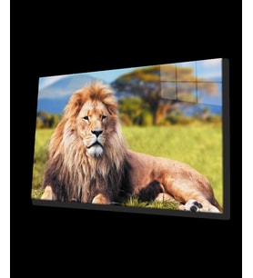 Aslan Hayvan Cam Tablo 4mm Dayanıklı Temperli Cam