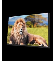 Aslan Hayvan Cam Tablo 4mm Dayanıklı Temperli Cam