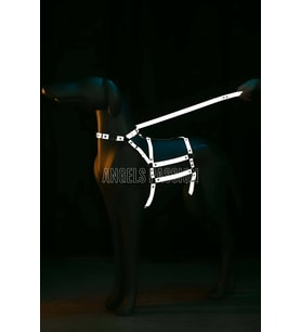 Reflektörlü - Ayarlanabilir Köpek Harness - Köpek Gezdirme Aparatı - NPD007