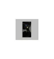 DBSanatevi Avangart Yıldızlı Siyahi Kadın Tablo 40 X 60 Cm