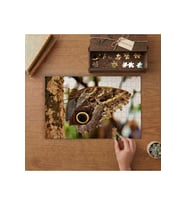 Baykuş Kelebeği Tasarımı 240 parça Ahşap Puzzle Ahşap Kutuda MP05169