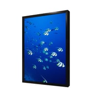 Denizaltı Çerçeveli Mdf Tablo