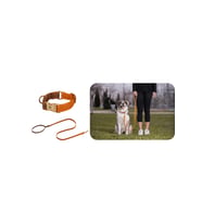 Charmlı Harlowe Köpek Boyun Tasması Ve Gezdirme Kayış Seti