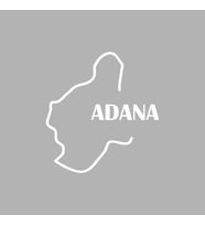 Adana Harita Araba Sticker siyah 17x18 CM (Beyaz)