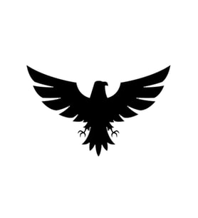 Kartal Tasarım Oto Sticker Siyah 21*29 Cm