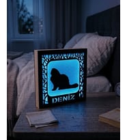Kişiye Özel Kedi Figürlü Işıklı Dekoratif Gece Lambası