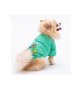 Pawstar Kedi ve KÜÇÜK Köpek Mint Bone Hunter Sweat L Sırt33cm Göğüs46cm Boyun30cm