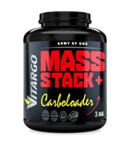 ARMY OF ONE MASS STACK VITARGO 3 KG ÇİKOLATA