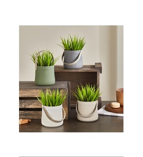 Northcity Kulplu Sepette Saz Model Çiçek Royaleks-5764