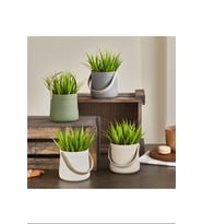 Northcity Kulplu Sepette Saz Model Çiçek Royaleks-5764