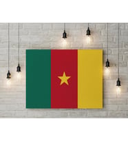 Kamerun Bayrağı Kanvas Tablo 40x55cm Dekoratif Tablo