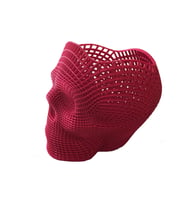 Nct  3D Printer Baskı Özel Meshli Kuru Kafa Kalemlik Kırmızı