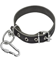 Deri Köpek Boyun Tasması Küçük Irk 48cm Kilitli Karabinalı Tasma