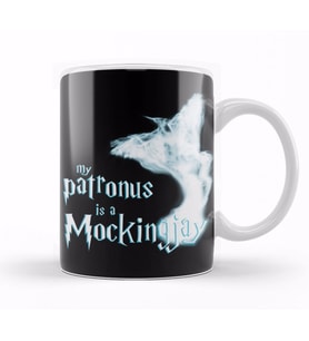 Harry Potter When Harry Met Katniss Kupa Bardak Porselen