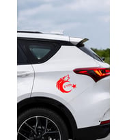 Motifli Bozkurt Ay Yıldız Sticker - Türk Bayrağı Araba Motor Sticker 15x13cm
