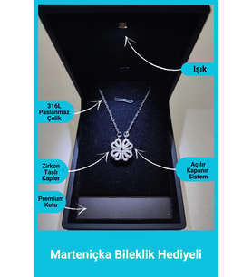 Işıklı Premium Kutuda  4 Kalpli Yonca Kolye  Mıknatıslı  Paslanmaz - 316l Çelik (Gümüş)
