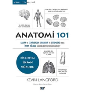 Anatomi 101