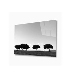 Doğa Cam Tablo 4mm Dayanıklı Temperli Cam (Çok Renkli)