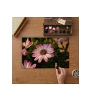 Pembe Papatyalar Tasarımı 240 parça Ahşap Puzzle Ahşap Kutuda MP07080