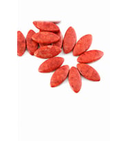Çim Mercan Doğal Taş Parlak Kırmızı 18x40mm Dizi [AA]