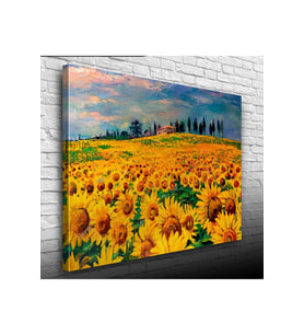 Ayçiçek Tarlası Canvas Tablo (50x70)