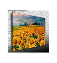 Ayçiçek Tarlası Canvas Tablo (50x70)