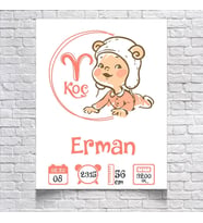 Koç Burcu ve Bebek Temalı Yaş Panosu