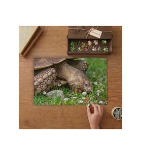 Çimenlerde Kaplumbağa Tasarımı 240 parça Ahşap Puzzle Ahşap Kutuda MP02846