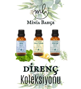 Nane Yağı 10ml, Lİmon Kabuğu Yağı 10ml, Biberiye Yağı 10ml