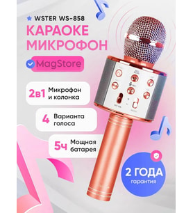 Kablosuz Karaoke Çocuk Mikrofonu